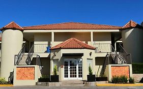 Ecosuites
